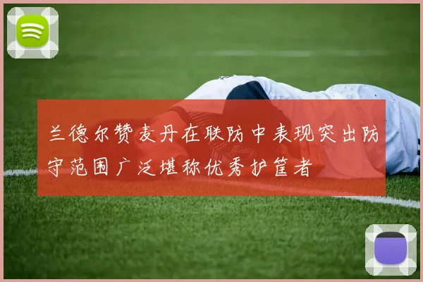 兰德尔赞麦丹在联防中表现突出防守范围广泛堪称优秀护筐者