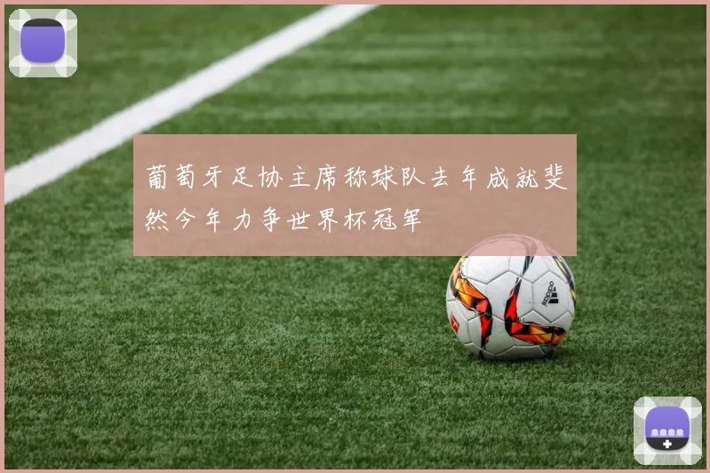 葡萄牙足协主席称球队去年成就斐然今年力争世界杯冠军