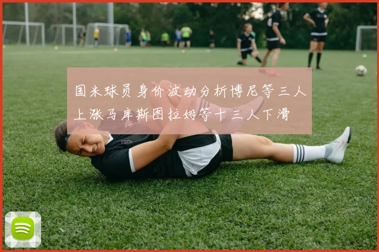 国米球员身价波动分析博尼等三人上涨马库斯图拉姆等十三人下滑