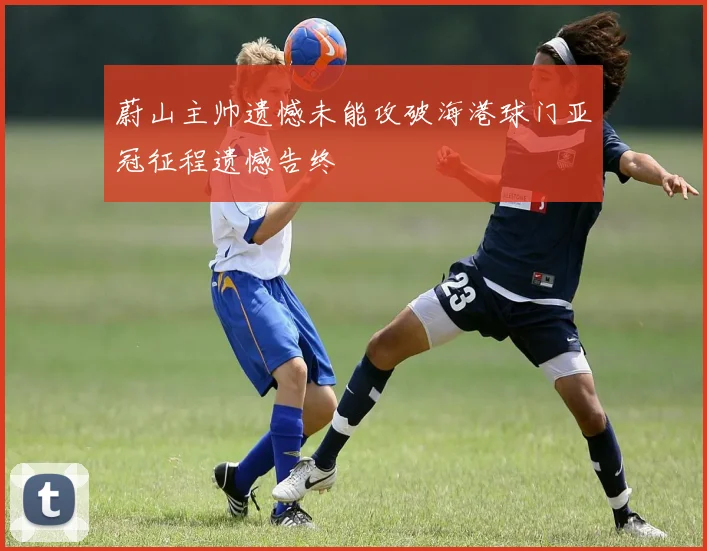 蔚山主帅遗憾未能攻破海港球门亚冠征程遗憾告终